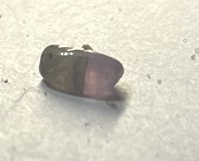 Deep Amethyst sea glass found at Folkestone