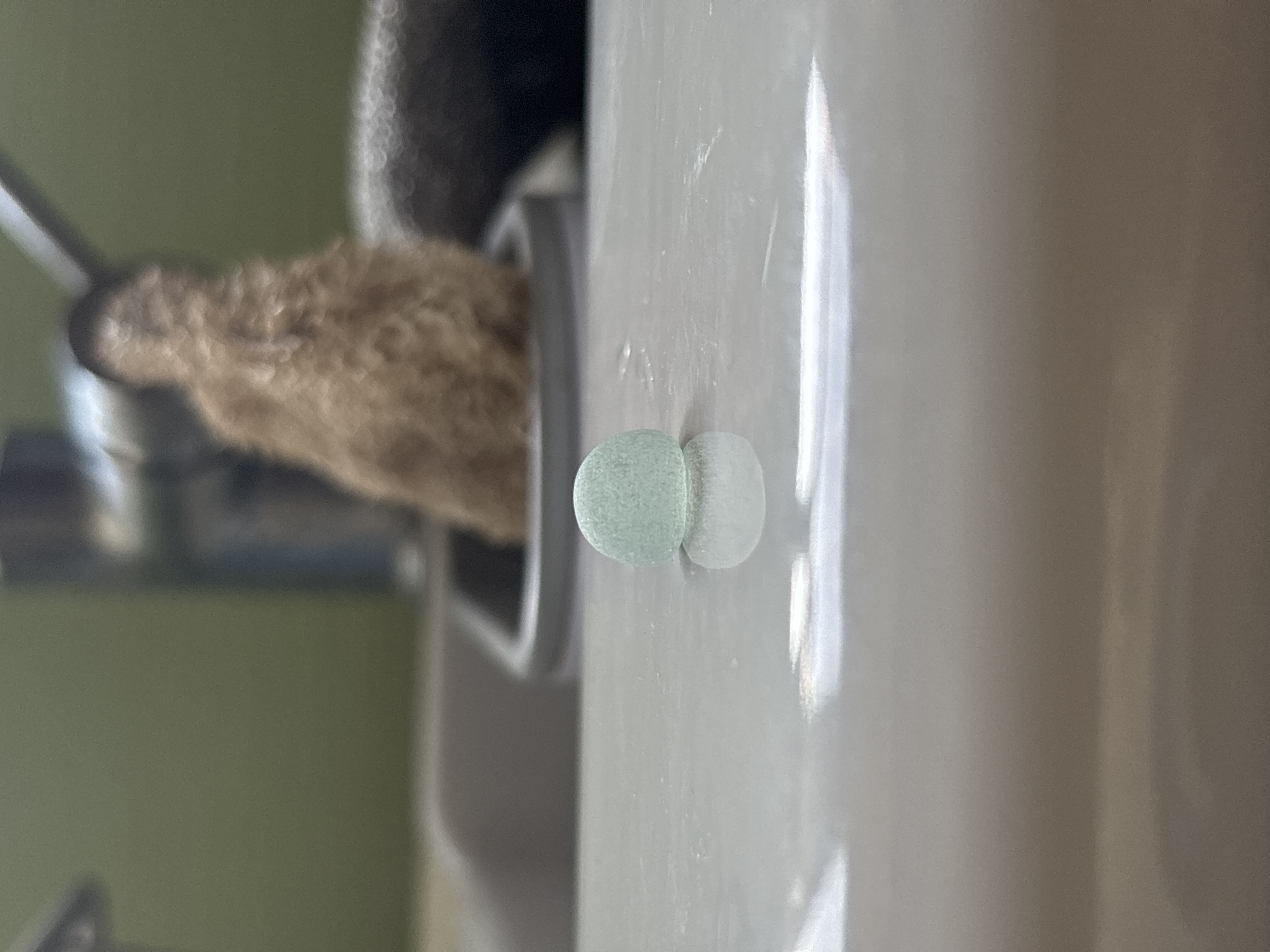 Seafoam Green sea glass found at Hastings